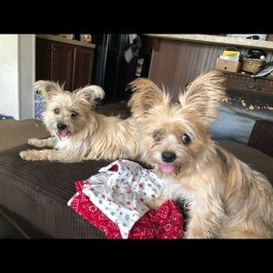 Meet your Posher, Miranda